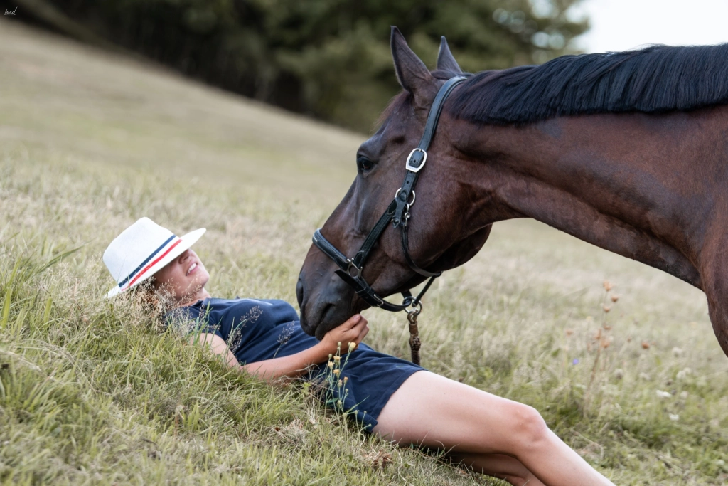 Préparer son cheval de sport à la compétition : bien-être, récupération et sérénité