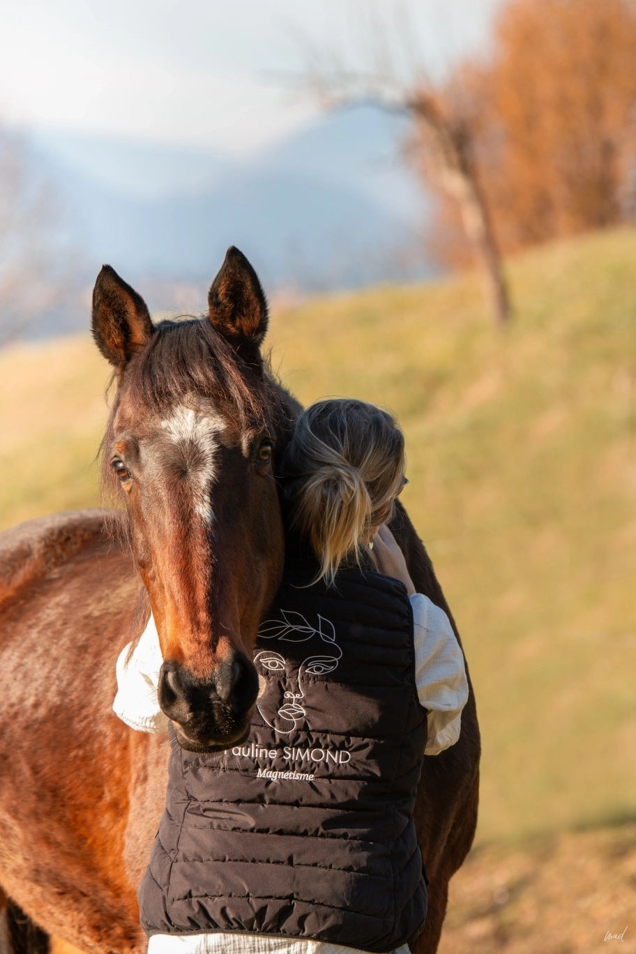 Magnétisme animal : comprendre cette approche énergétique pour chiens, chats et chevaux